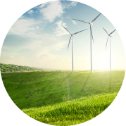 Vegan Portfolio Management
